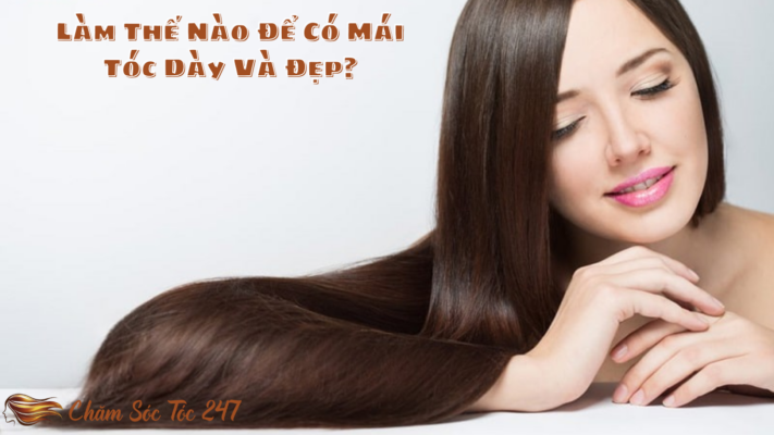 Làm Thế Nào Để Có Mái Tóc Dày Và Đẹp?